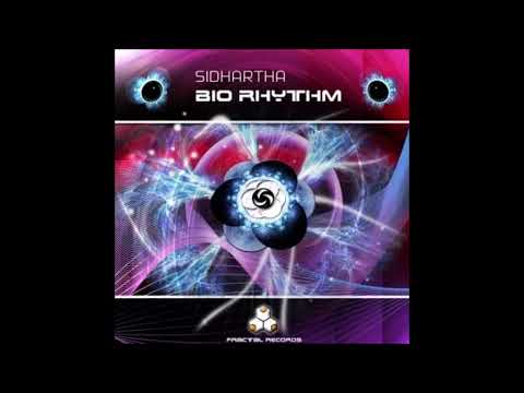 Highpnosys (Phonic Request rmx) by Sidhartha