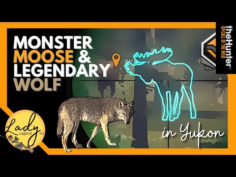 MONSTER Moose & LEGENDARY Gray Wolf in Yukon - Hunter: Call of the Wild / Lvl 5 Moose, Diamond Wolf