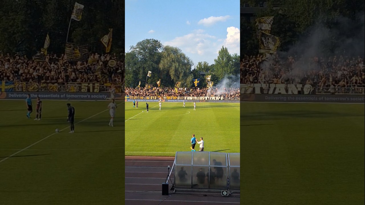 AIK supporters in Tallinn #shorts #uefaconferenceleague