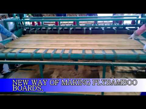 Manufacturing of bamboo plywood