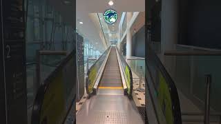 オーストラリア🇦🇺ゴールドコースト親子留学　#ゴールドコースト