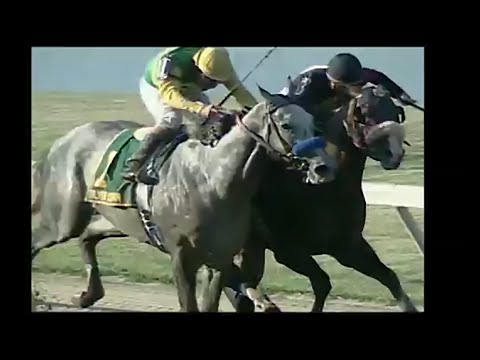 Silver Charm Career Highlights