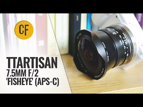 Video thumbnail for Video Review 2