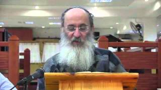 פרשת וירא | הקשר בין מילתו של אברהם גם את בני ביתו להתגלות לה זכה – הרב אורי שרקי