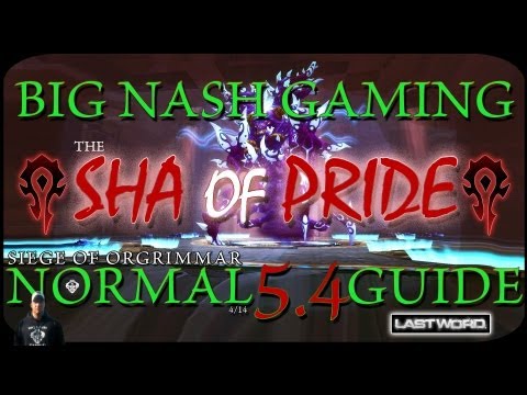 Sha of Pride Raid Guide