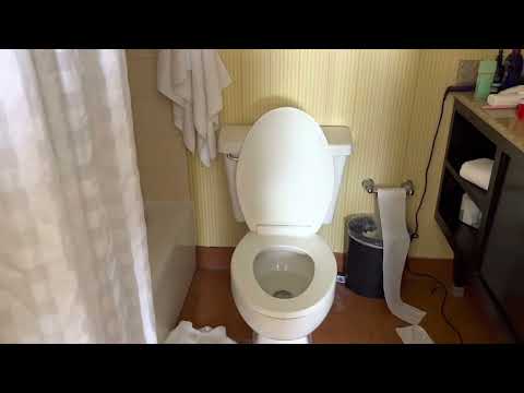 Embassy Suites by Hilton, Ft Lauderdale Suite 718 review - Great for CRUISE