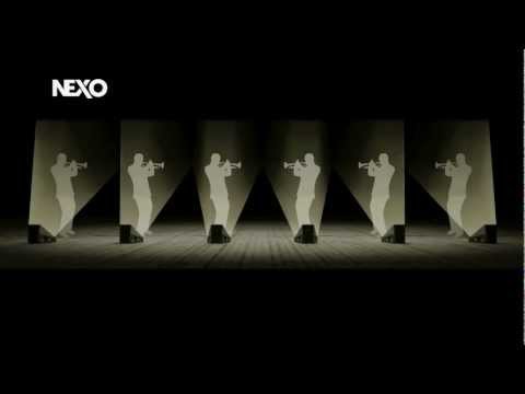 MusicData - Line Array Monitor NEXO 45° N-12