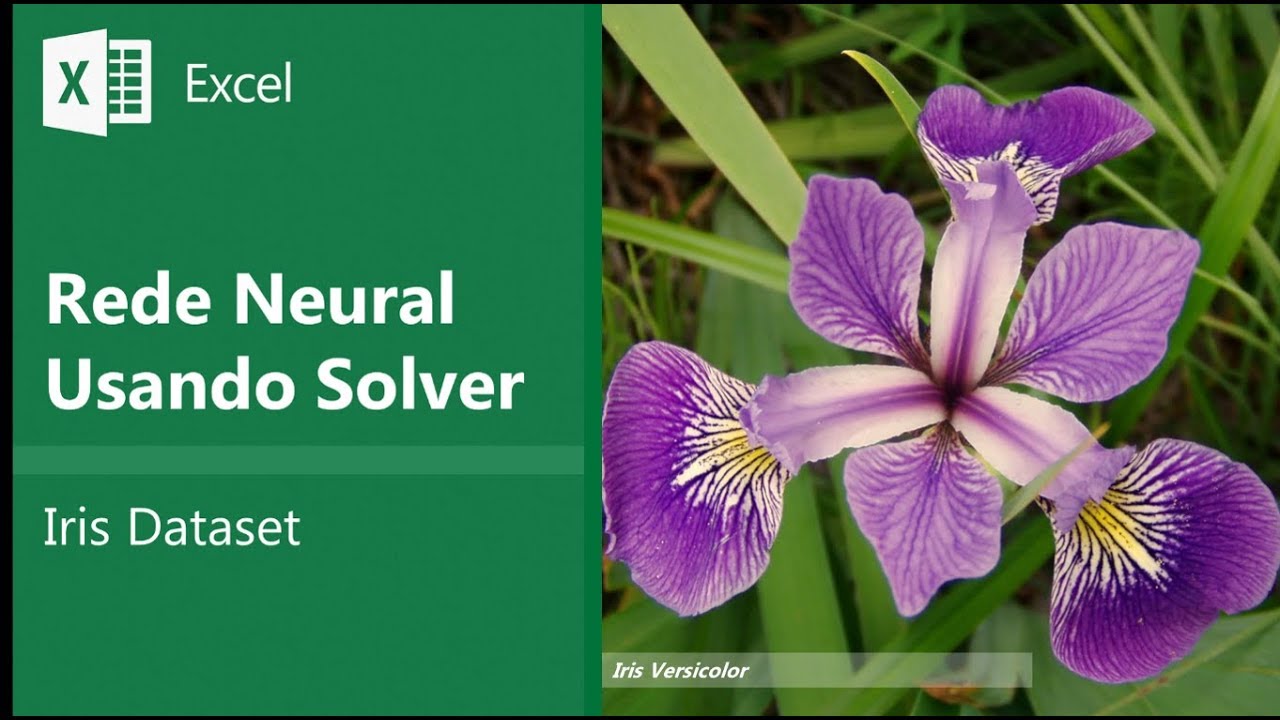 Artificial Neural Network (ANN) with Excel Solver - Iris Dataset