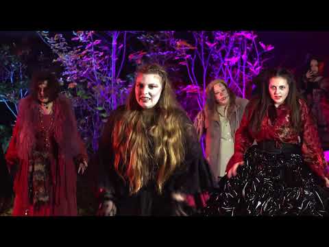 Ewigkeit - Halloween Performance des ACT Center Nürnberg