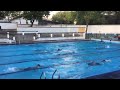 Dscswimming Dsc Novices Swimming Training Sessions 2023
