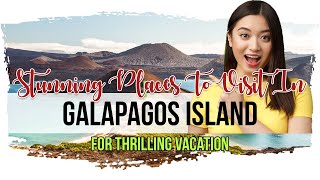 Plan A Trip To Galapagos Island For Thrilling Vacation In 2022