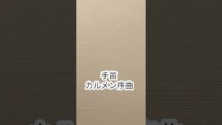 Download lagu 手笛で吹くカルメン（再録音）#shorts #ハンドフルート #フルート #handflute #ビゼー mp3
