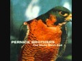 Pernice Brothers - Shaken Baby