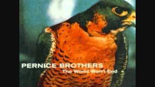 Pernice Brothers - Shaken Baby