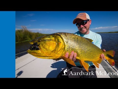 Golden Dorado River Cruiser Argentina. Amazing fishing on the Rio Parana River.