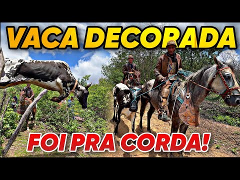 2ª PEGA DE BOI DO SÍTIO PITOMBEIRA EM SALGUEIRO-PE. 2026