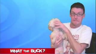 What The Buck_EXPLODING_!_!!mp4