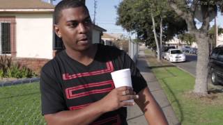 Niqle Nut "Imperial: The Visuals 1.0"