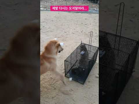 아이콘