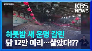 어제 12만 마리 출하한 덕에 살았네(?) 빈 양계장에 큰불 [이 시각 소방청 상황실] / KBS  2024.04.18.