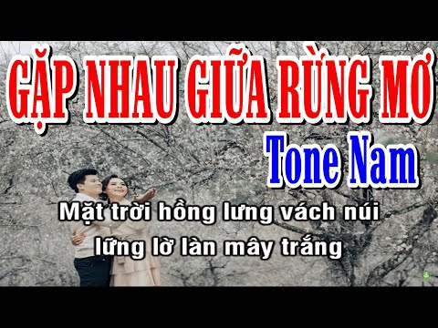Gặp Nhau Giữa Rừng Mơ - Karaoke Tone Nam ✦ Âm Thanh Chuẩn | Yêu ca hát - Love Singing |