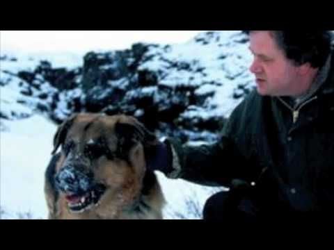 Davíð's Saga: A Star on the Heavens Above