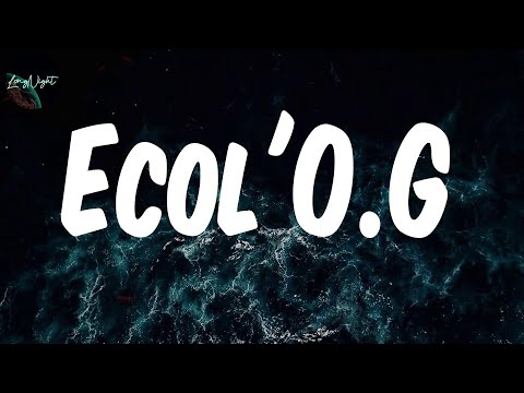 험헰헼헹'헢｡헚 (헟혆헿헶헰혀) - 헛 헠헮헴헻혂헺