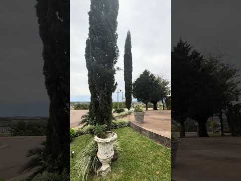 A igreja que guarda memórias do povo! #matoleitao #igreja #riograndedosul