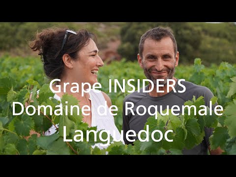Grape INSIDERS: Domaine de Roquemale in Languedoc