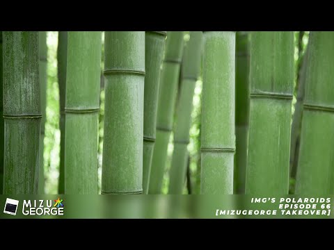 iMG's Polaroids: Episode 66 [MizuGeorge Takeover]