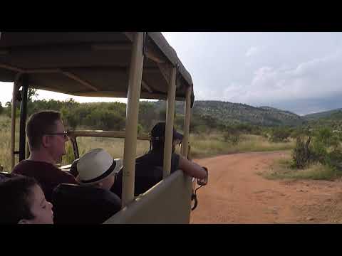 Pilanesberg GameDrive 6