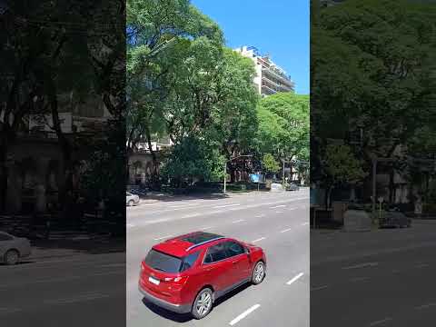 Por Av del Libertador desde el Parque Tres de Febrero hasta el Museo Nacional de Bellas Artes.