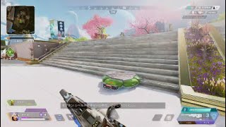 マジでレイスごめんwww