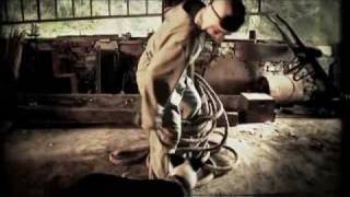 The Ruby Suns - There Are Birds