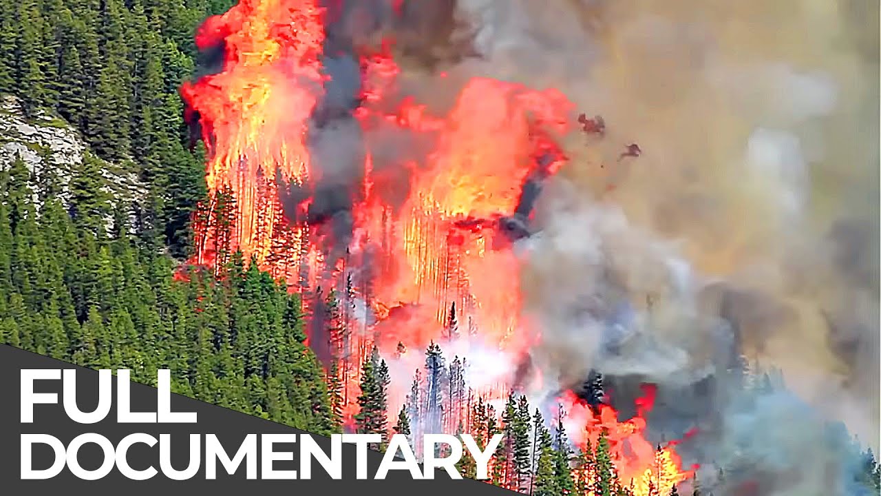 Deadly Disasters: Wildfires