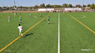 VIPERS FC VS PALATINE CELTICS BLACK N1