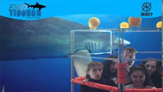 DIA 3 Expo Tiburon86