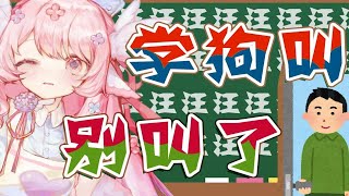 狗叫博主？我不是啊！爸爸你听我解释！