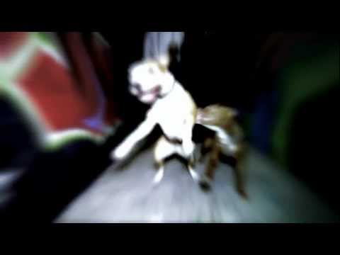 Les Pieds Sur Terre-[Bassora Street]-Clip Officiel