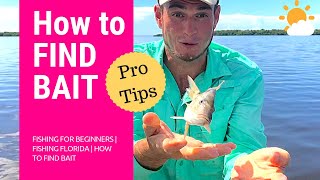 Fishing for Beginners | Fishing Florida | How to Find Bait Fish