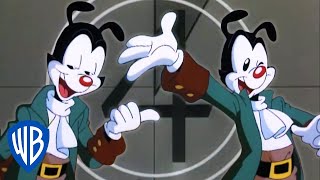 Animaniacs | The Warners Forget Their Lines 😱 | Classic Cartoon | WB Kids