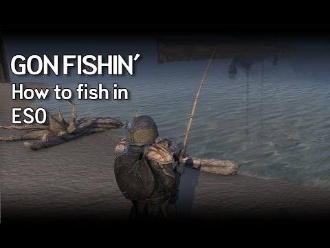Gone Fishin' | The Beginner's Guide to Fishing