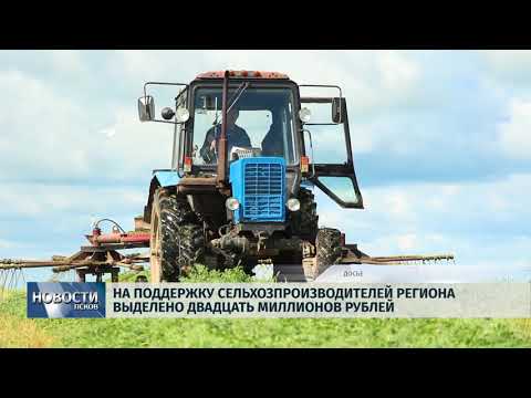 Новости Псков 12.07.2018 # На поддержку сельхозпроизводителей выделят 20 миллионов рублей 