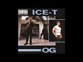 Straight Up N^^^^ by Ice-T from O.G.