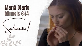 Maná Diário - Salvação Genesis  6:14