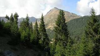 Lan Dobra - Lufta E Junikut