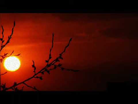 Anka Gieva   Da li si se naspalo