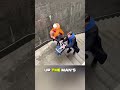 Kind Stranger Rushes To Help Disabled Child And Dad Struggling On Stairs Kindness Wholesome