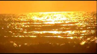 &quot;Feel us Shaking&quot;  written by Sean Kelly