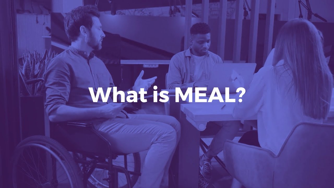 What is MEAL? Understanding Accountability and Learning